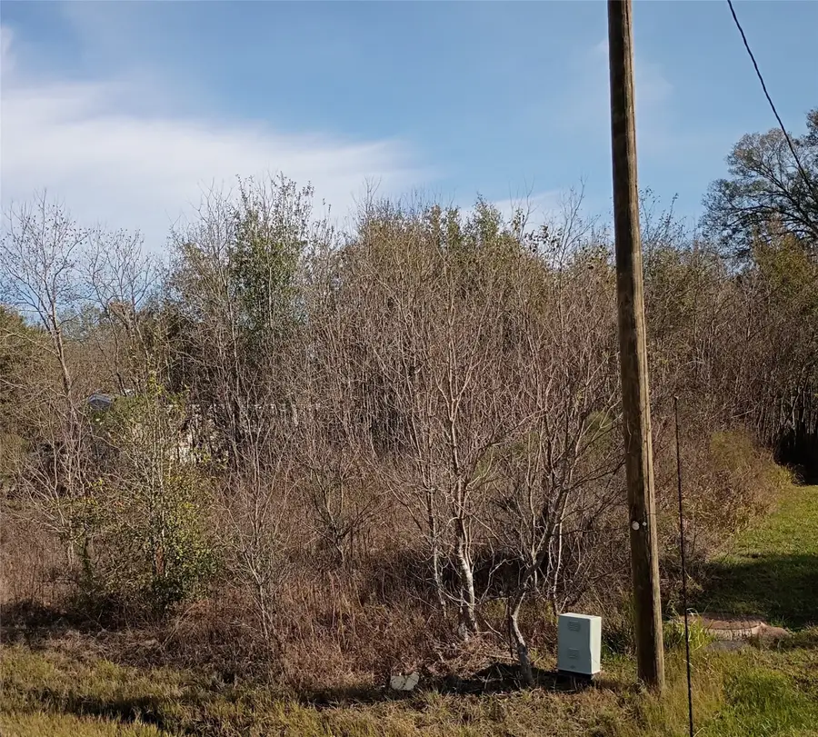 425 County Road 5041, Cleveland, TX 77327 - Image #3