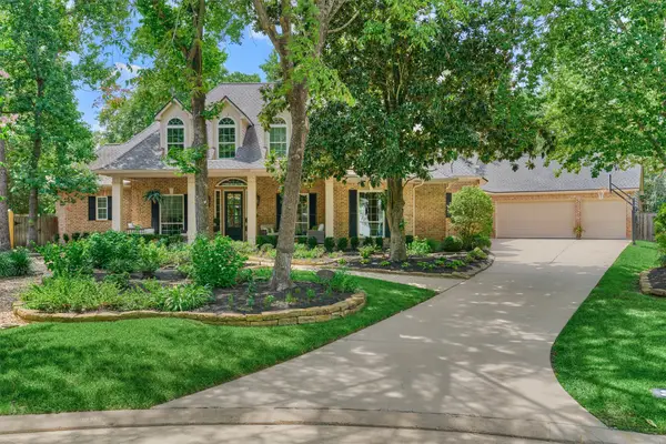 18 Treevine Court, The Woodlands, TX 77381
