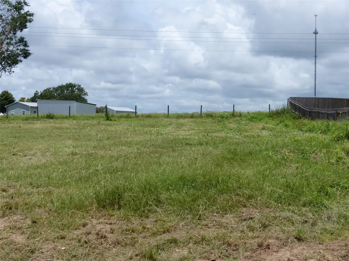 00 Wild Phlox Drive, Bellville, TX 77418 - #1