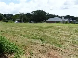 00 Wild Phlox Drive, Bellville, TX 77418 - #2