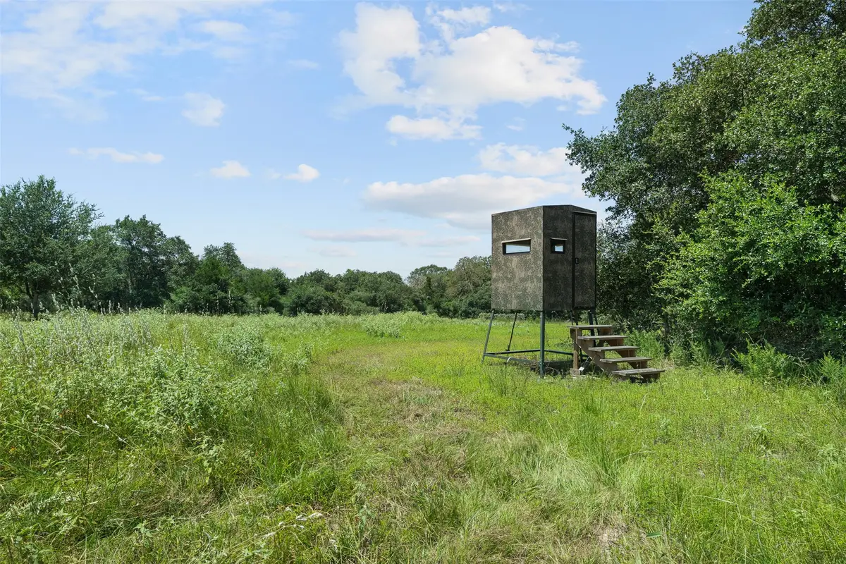 1080 Muddy Creek Road, Columbus, TX 78934 - #1