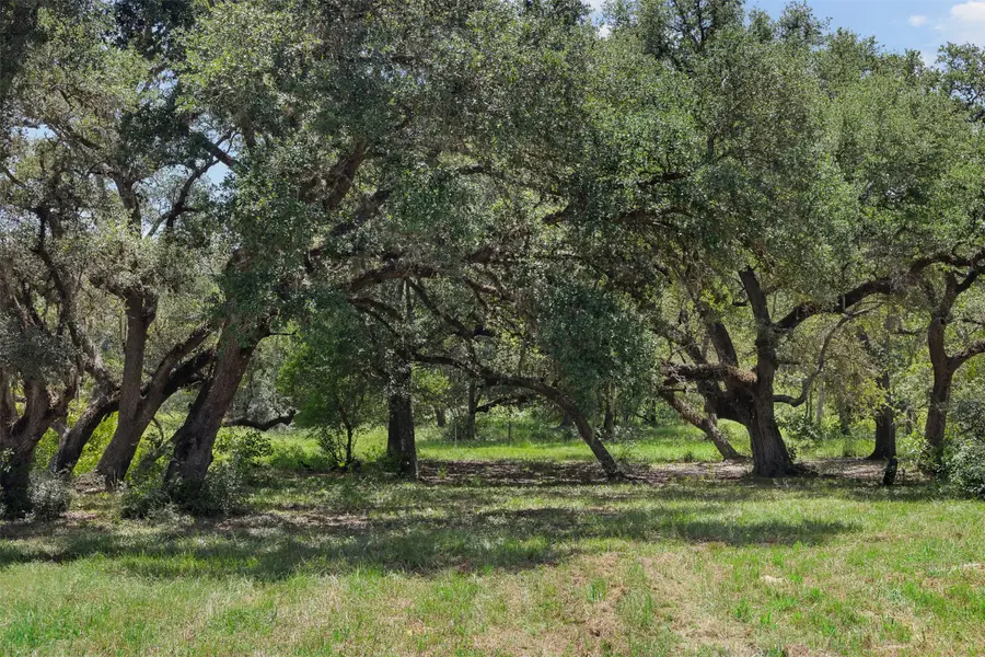 1080 Muddy Creek Road, Columbus, TX 78934 - #2