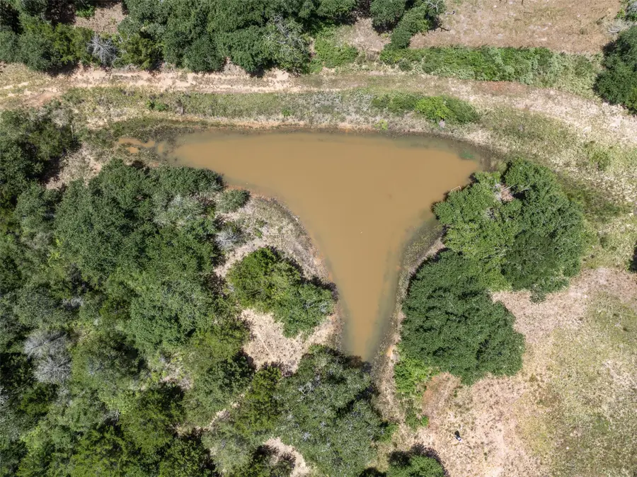 1080 Muddy Creek Road, Columbus, TX 78934 - #3