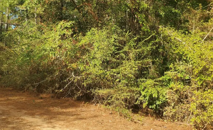 0 Indian Trail Drive, Hempstead, TX 77445 - #3