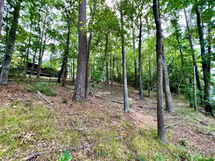 00 County Road 4921, Etoile, TX 75944 - #2