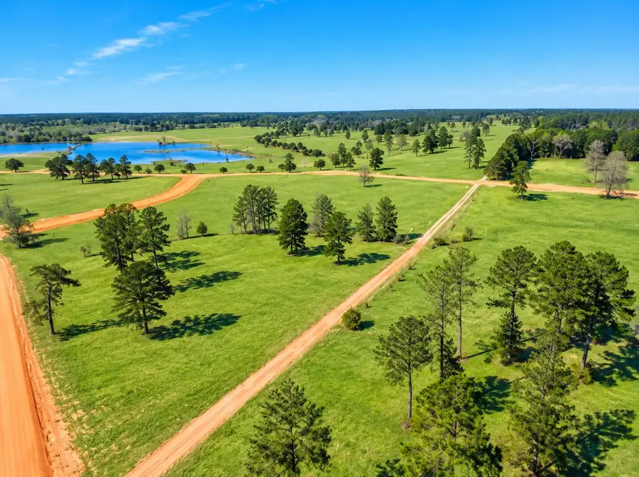 Lot 85 Lakeland Loop, Hillister, TX 77624 - #2