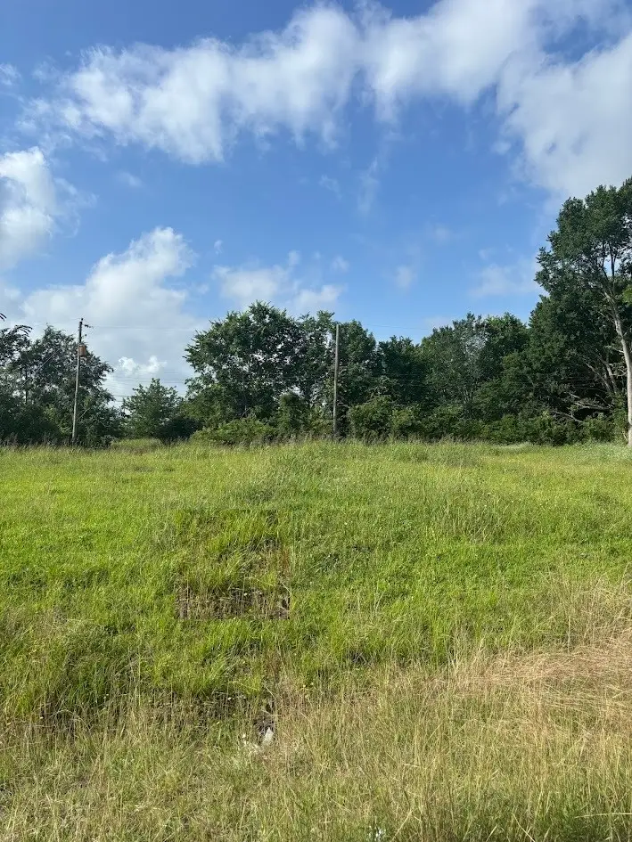 3634 Nita Street, Houston, TX 77051 - #2