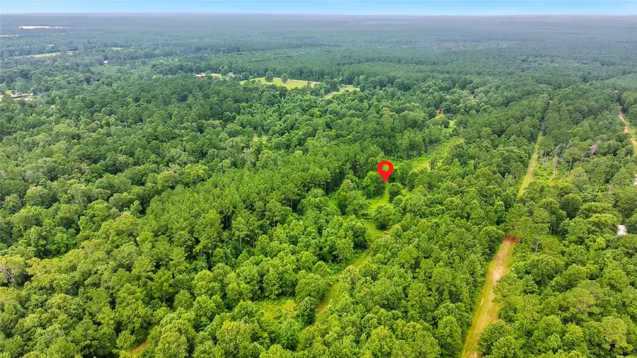 1151 County Line Road, Shepherd, TX 77371 - #2