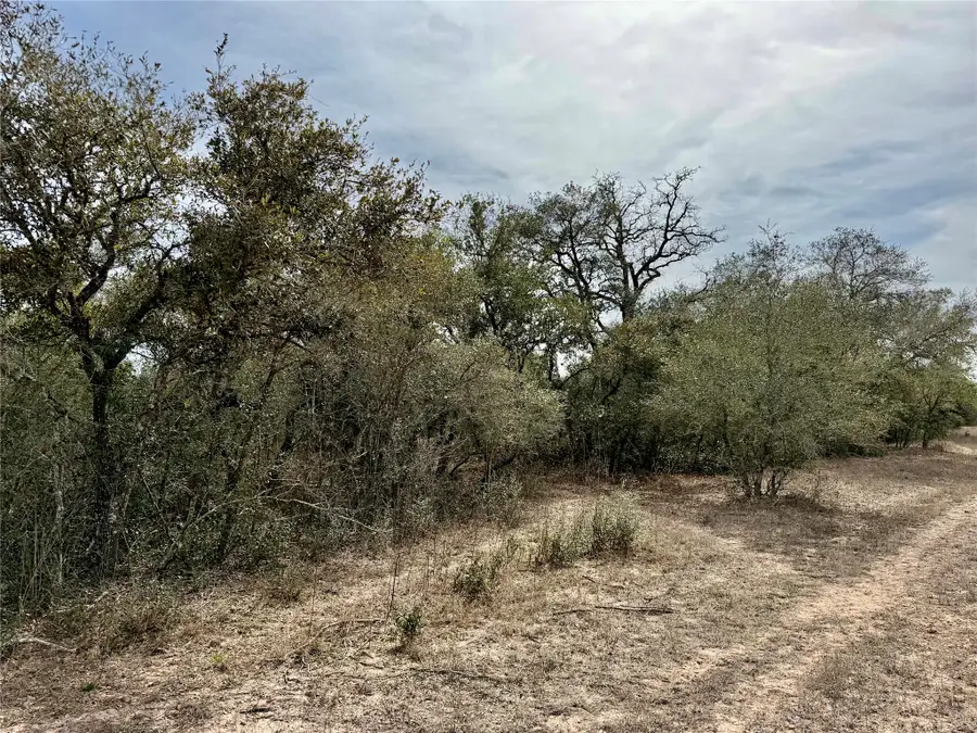 19.88 acres Friar Road, Cuero, TX 77954 - #2