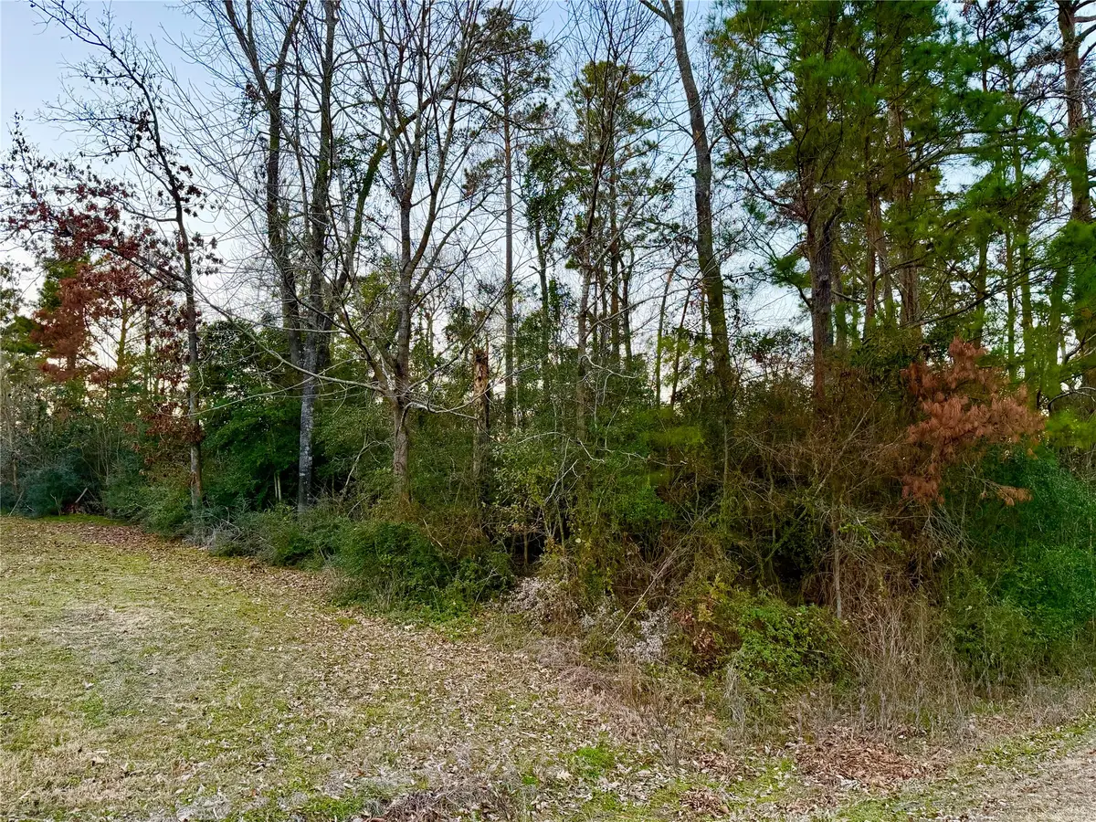 TBD Tallow Street, Onalaska, TX 77360 - #1