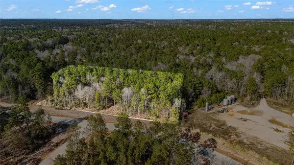 129 Bunkhouse Road, New Waverly, TX 77340