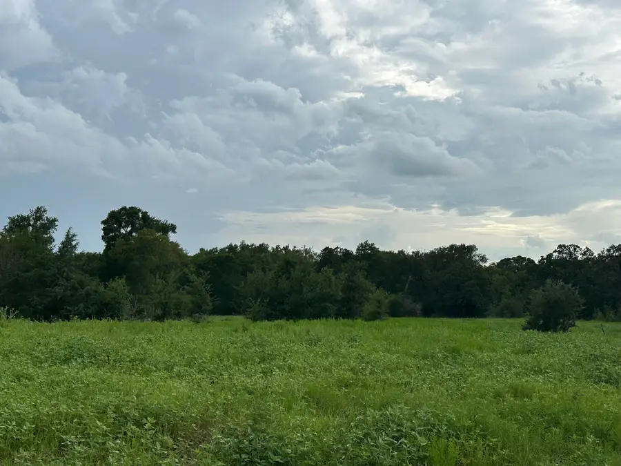 8616 Schuster Road, Round Top, TX 78954 - #3