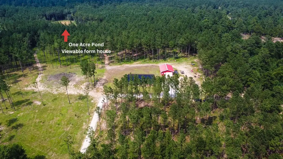 2145 Fm 946 S, Oakhurst, TX 77359 - #1
