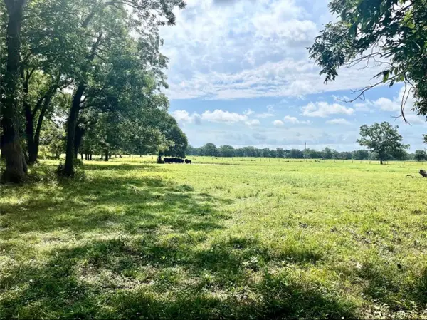 0 S County Road 263, Egypt, TX 77434