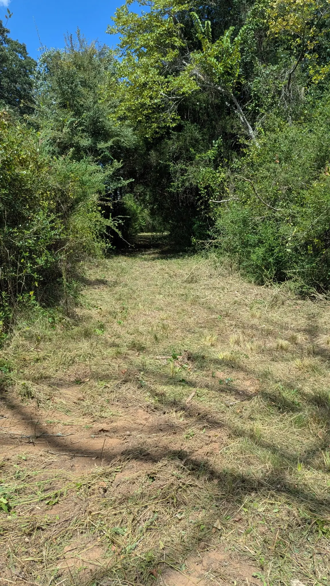 5425 County Road 114, Centerville, TX 75833 - #1