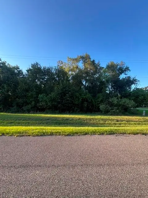 1039 W Point Drive, Rosharon, TX 77583 - #2