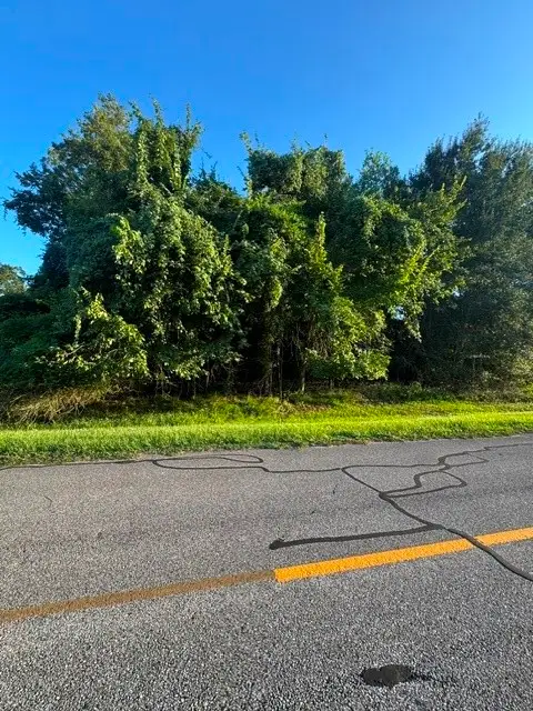 1039 W Point Drive, Rosharon, TX 77583 - #3