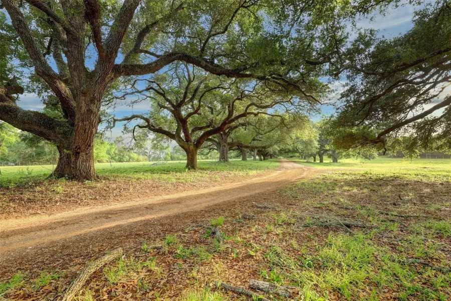 9601 Old Cedars Court, Plantersville, TX 77363 - #2