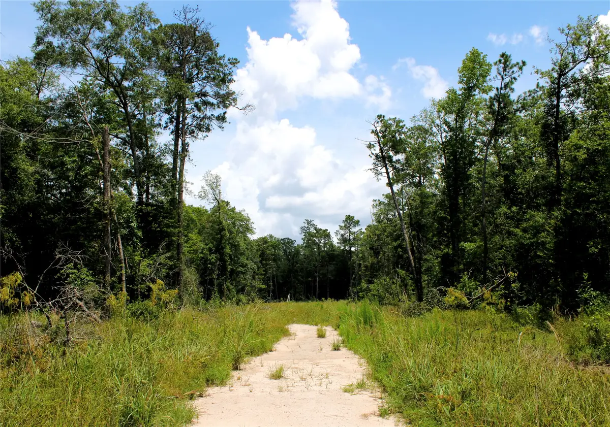 12425 Picos Road, Saratoga, TX 77585 - #1