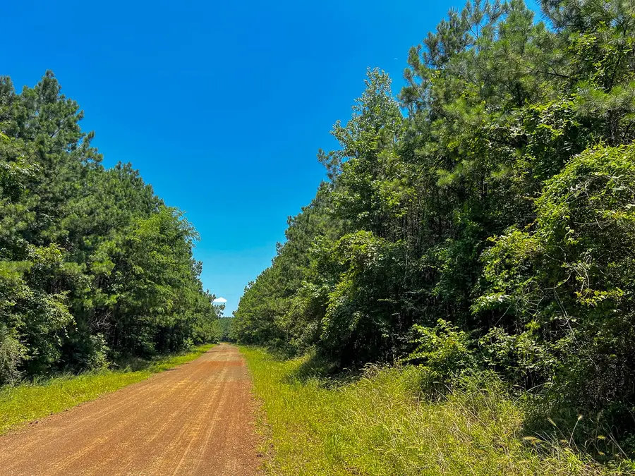 8 Bayou Road, Milam, TX 75948 - #2