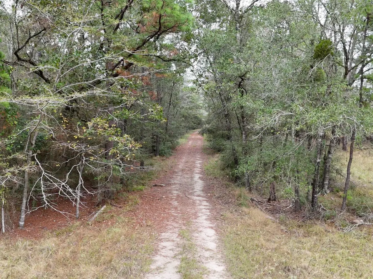 TBD Tract 1 Percy Howard Road, Huntsville, TX 77320 - #1