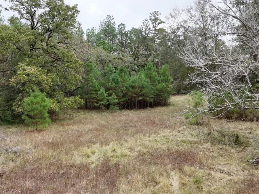TBD Tract 1 Percy Howard Road, Huntsville, TX 77320 - #2