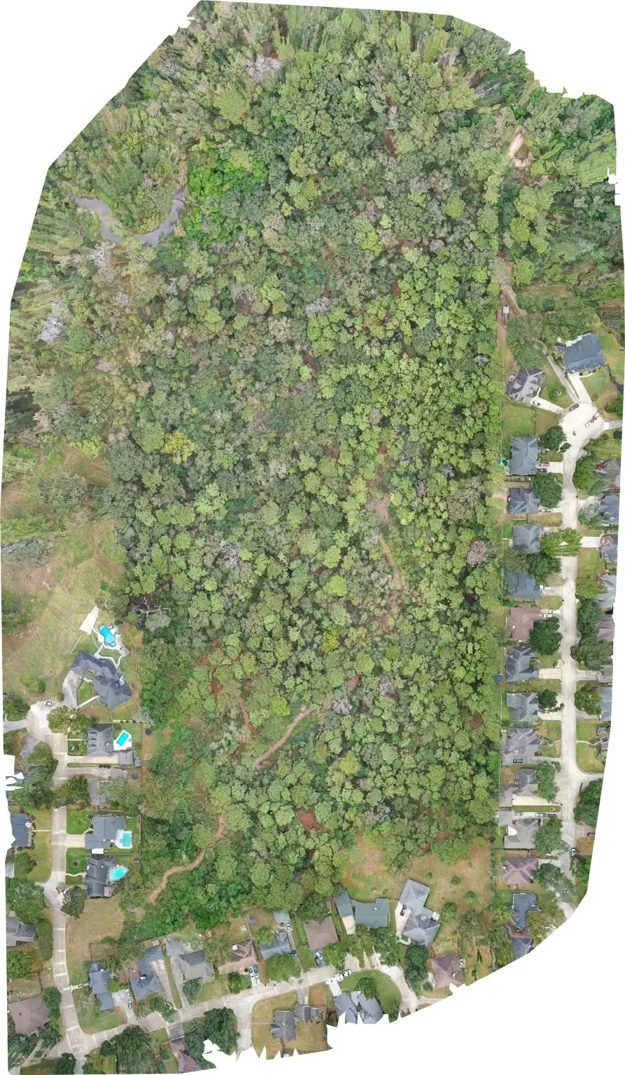 0 Stella Lane, Tomball, TX 77375 - Image #2