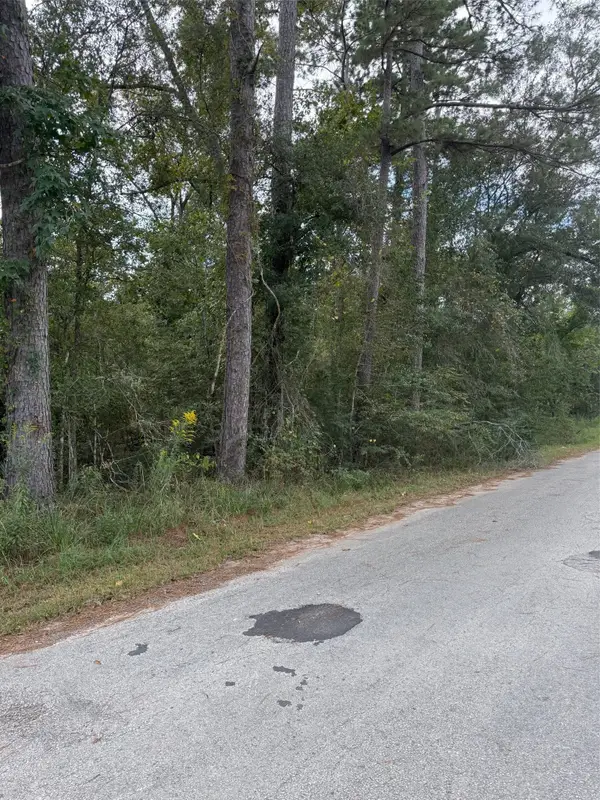 Lot 17 Long Street, Splendora, TX 77372
