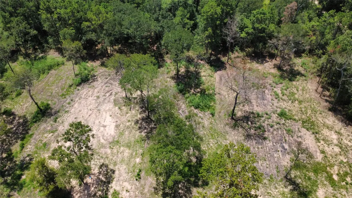 TBD County Road 201 Loop, Plantersville, TX 77363 - #1