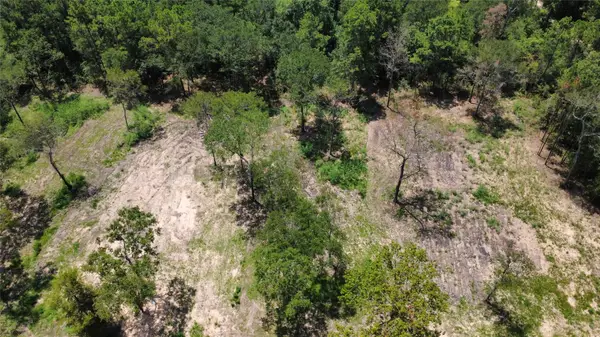 TBD County Road 201 Loop, Plantersville, TX 77363