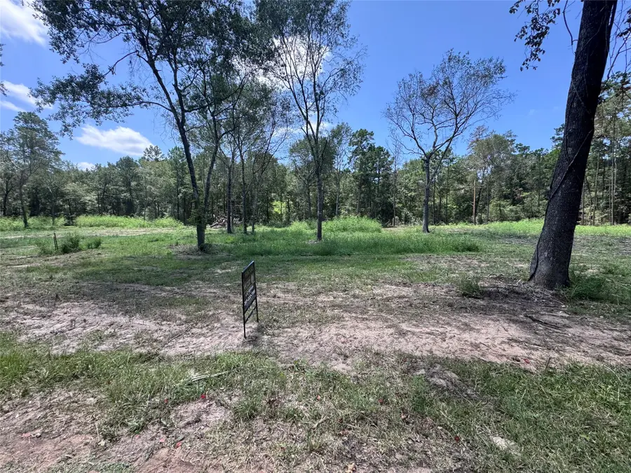 TBD County Road 201 Loop, Plantersville, TX 77363 - #2