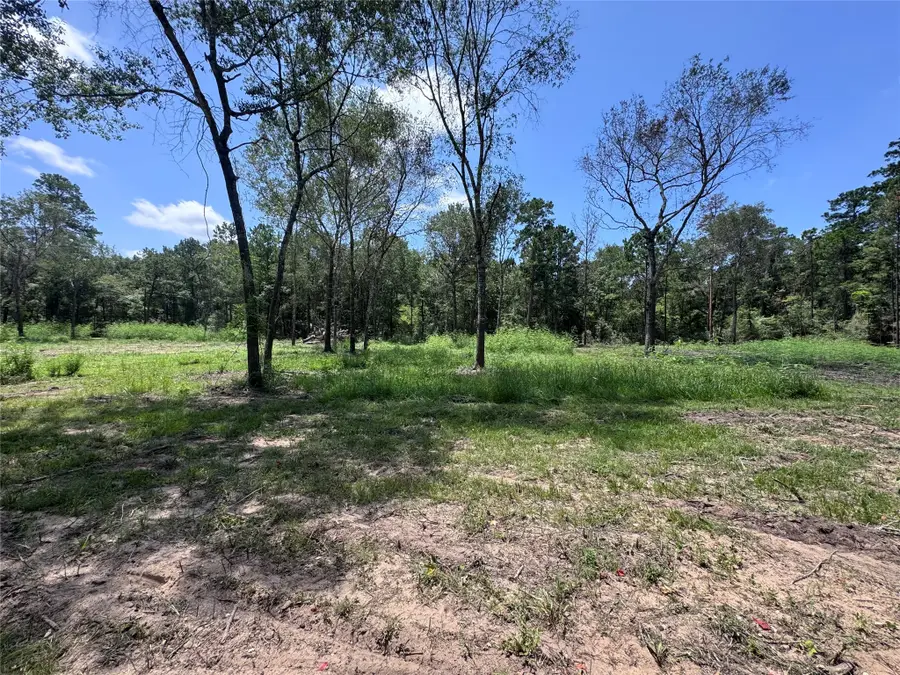 TBD County Road 201 Loop, Plantersville, TX 77363 - #3
