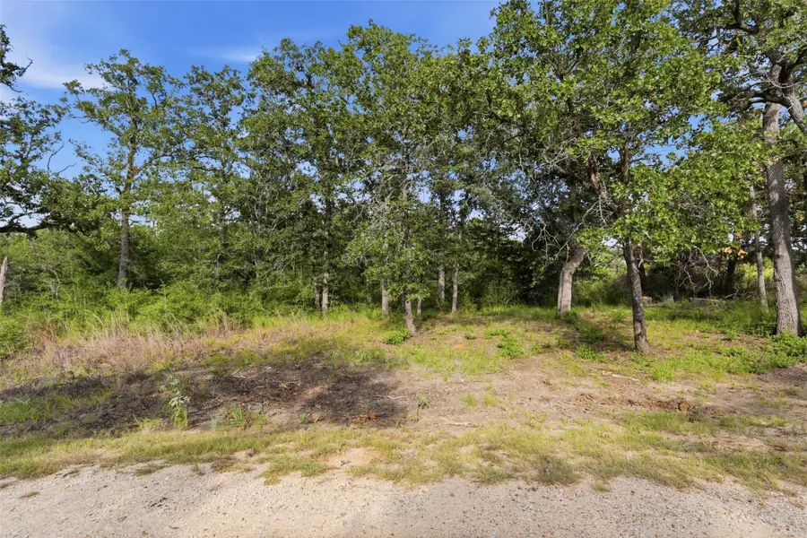TBD Bengals Bend, Somerville, TX 77879 - #3