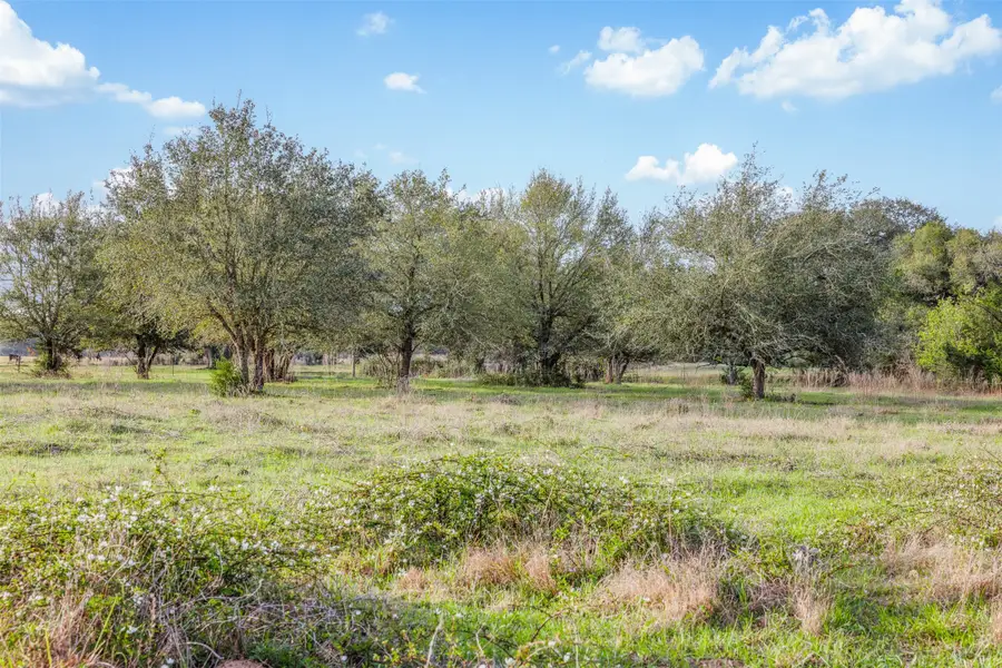 1017 New Ulm Road, Cat Spring, TX 78933 - #2