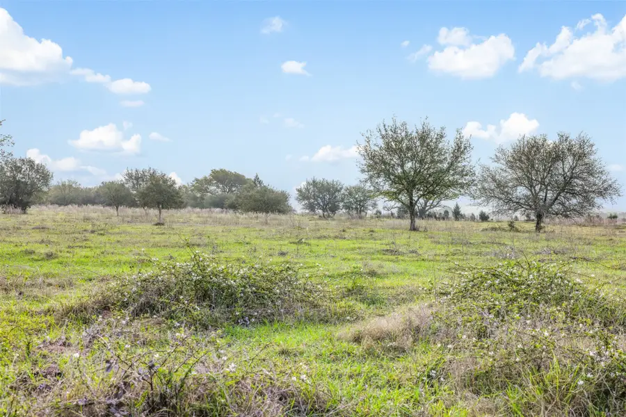 1017 New Ulm Road, Cat Spring, TX 78933 - #3