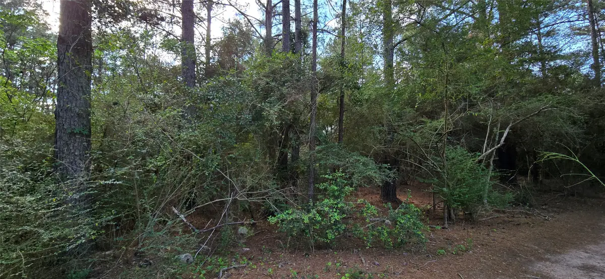 0 Fisher Drive, Tomball, TX 77377 - #1