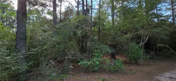 0 Fisher Drive, Tomball, TX 77377