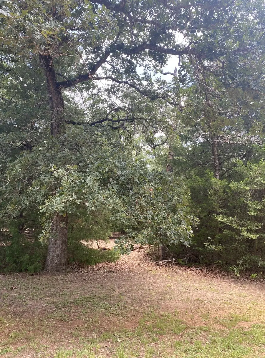 165 Navarro Drive, Hilltop Lakes, TX 77871 - #3