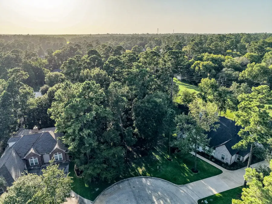15 Brookwood Court, Montgomery, TX 77356 - #2