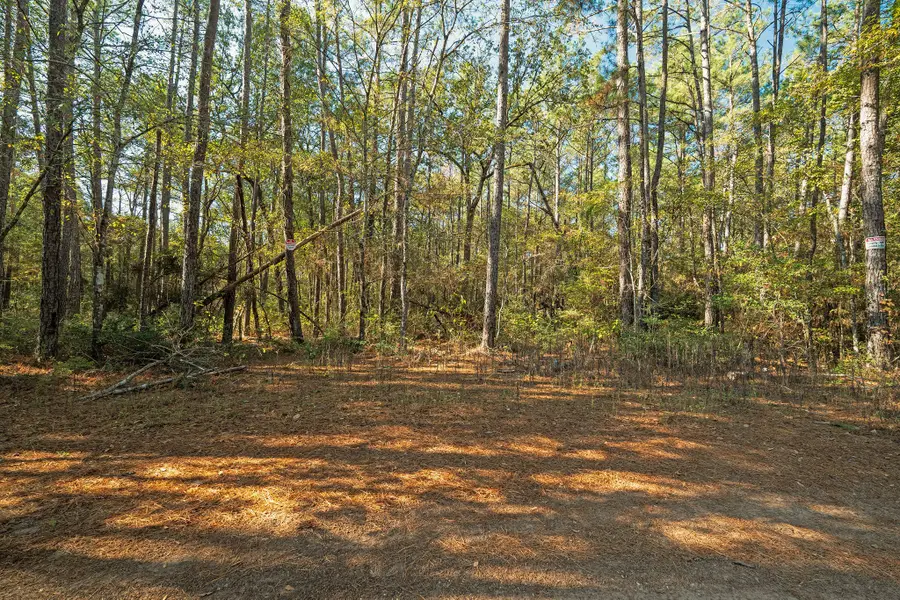 Lot 16 Hackberry Drive, Plantersville, TX 77363 - Image #3