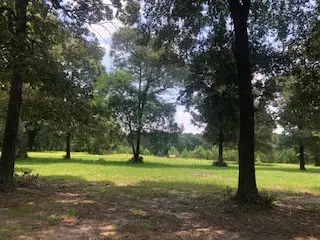 #3