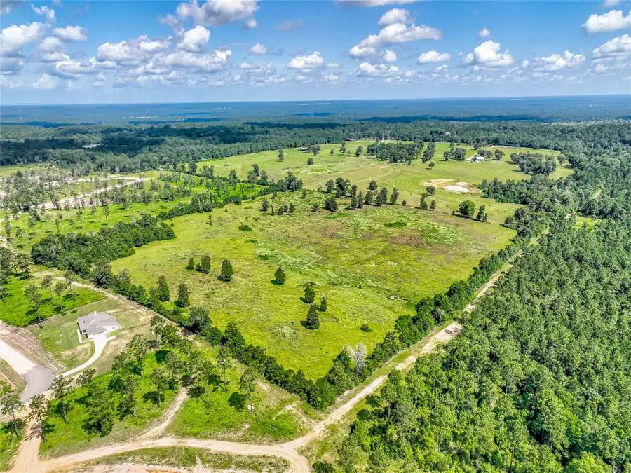 316 Barn N Lane, Livingston, TX 77351 - #2