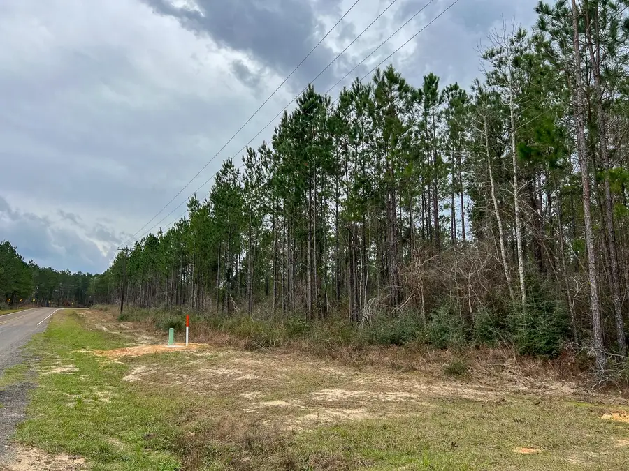 T-1 Farm To Market 1012, Newton, TX 75966 - #3