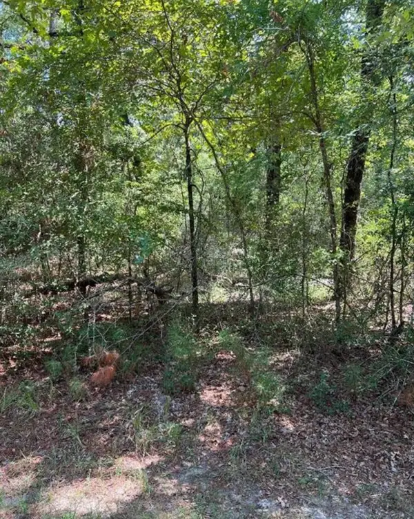 37 Landing Way, Trinity, TX 75862