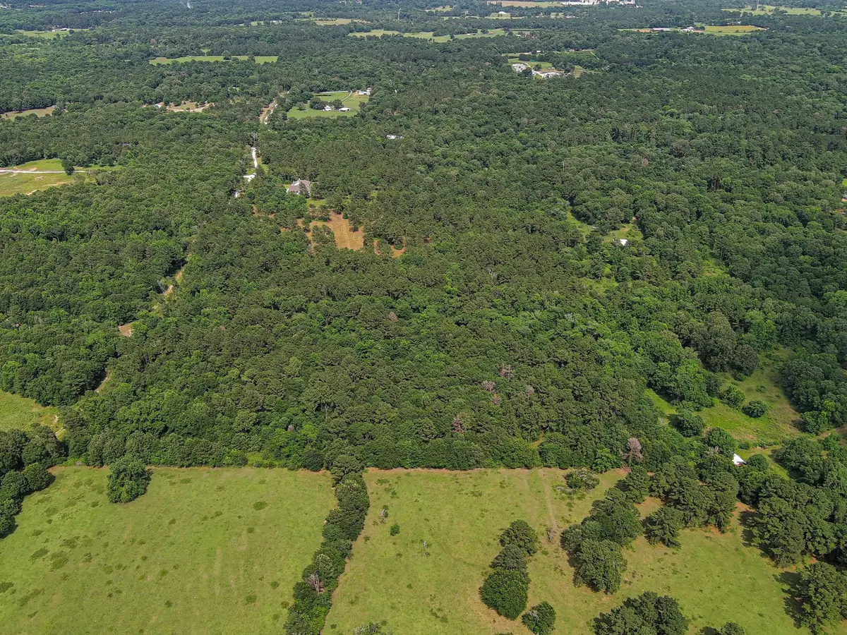 23299 Sharpwest Trail, Montgomery, TX 77356 - #1