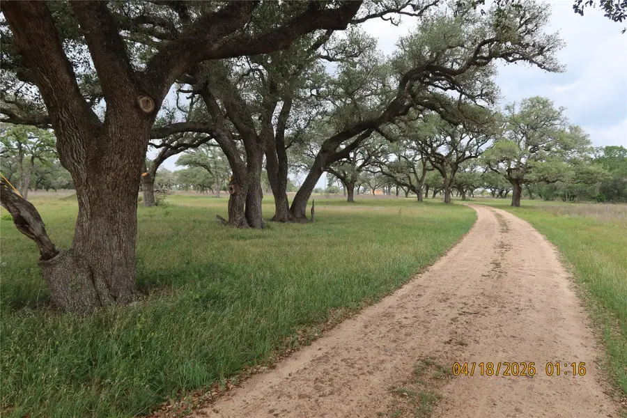 1052 Rail Head Road, Columbus, TX 78934 - #3
