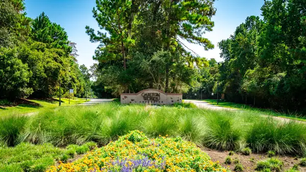 7 Primm Valley Ct, Tomball, TX 77389