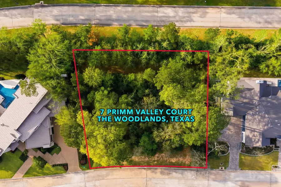 7 Primm Valley Ct, The Woodlands, TX 77389 - #3