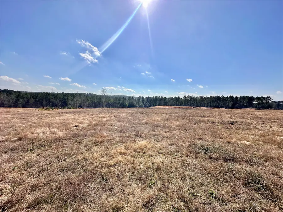 0 Stillwater Drive, Livingston, TX 77351 - #2