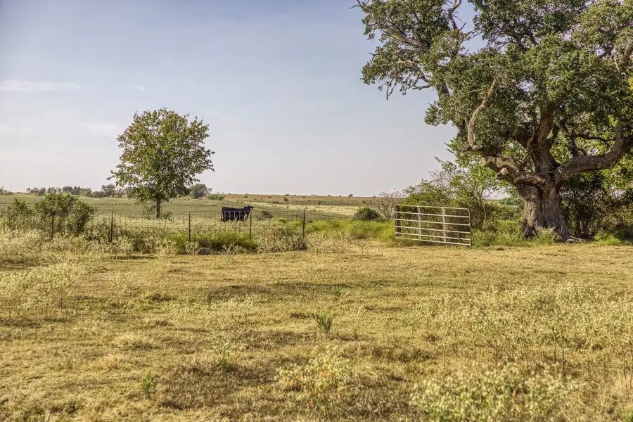 11361 Fm 2621, Brenham, TX 77833 - Image #3